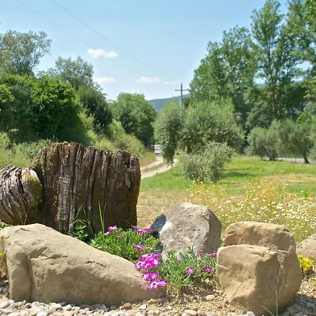 Barbagianni