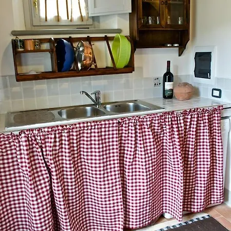 Barbagianni * Cortona